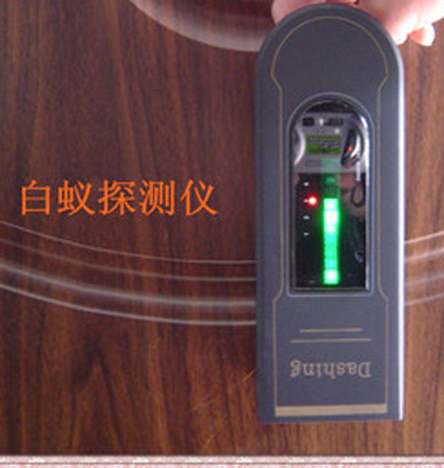 怎么检测家里有没有白蚁一晋江市专业白蚁