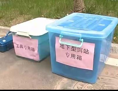 地下隔楼白蚁危害现拍照