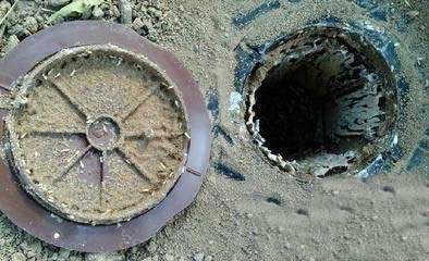 仓库白蚁灭治方法-专业-方便快捷！