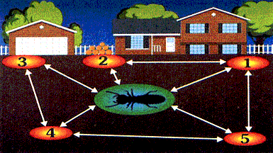 15716396954973134.gif 15716396954973134.gif