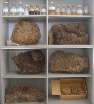 444010.jpg 444010.jpg