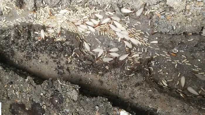 360鎴浘20220718121427936.jpg 360鎴浘20220718121427936.jpg