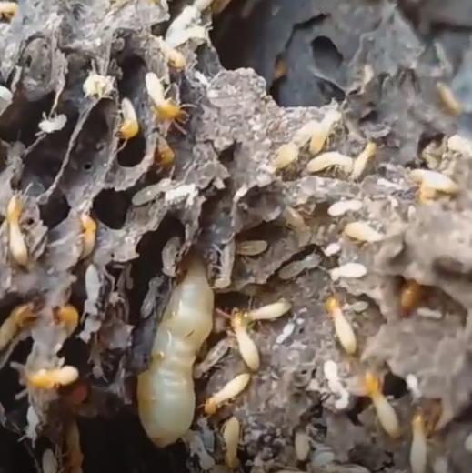 360鎴浘20240412214114595.jpg 360鎴浘20240412214114595.jpg