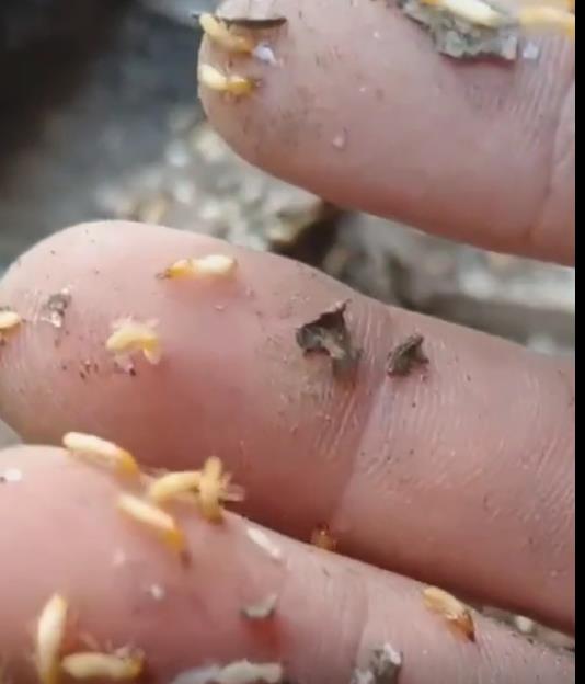 360鎴浘20240420113019101.jpg 360鎴浘20240420113019101.jpg