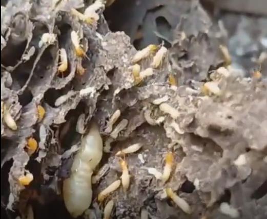 360鎴浘20240420113041145.jpg 360鎴浘20240420113041145.jpg