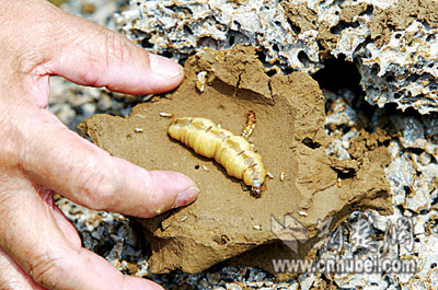 111005.jpg 111005.jpg